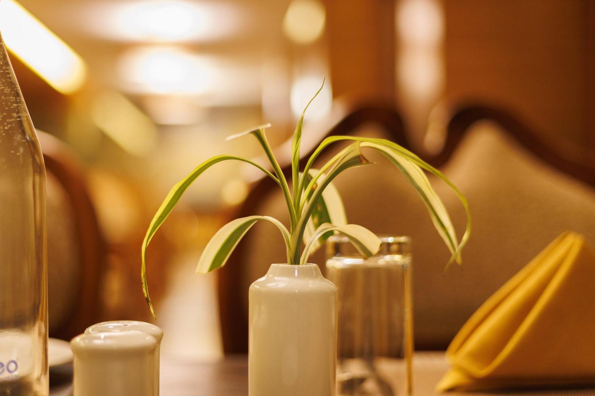 Amber Dale Luxury Hotel & Spa, 蒙纳 外观 照片